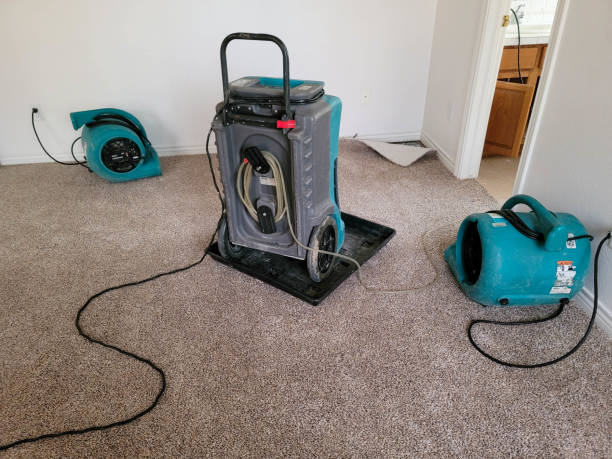 Best Flood restoration services  in Eastmont, WA