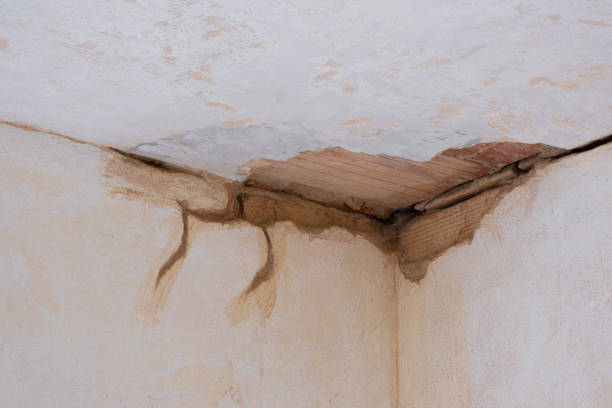 Best Water damage restoration experts  in Eastmont, WA