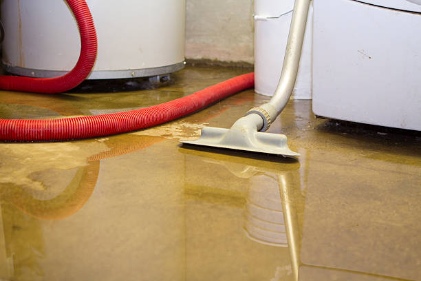 Best Mold removal after water damage  in Eastmont, WA