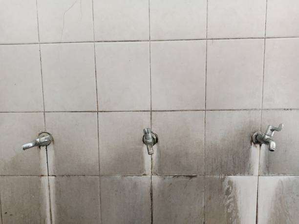 Sewage cleanup and water damage restoration in WA