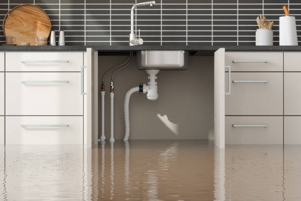 Best 24-hour water damage restoration  in Eastmont, WA