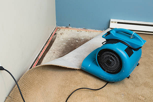Best Basement water damage restoration  in Eastmont, WA